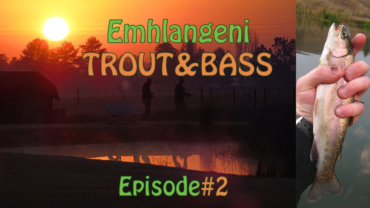Fish The Fly | Emhlangeni Trout Fishing  | Fly Fishing Gauteng