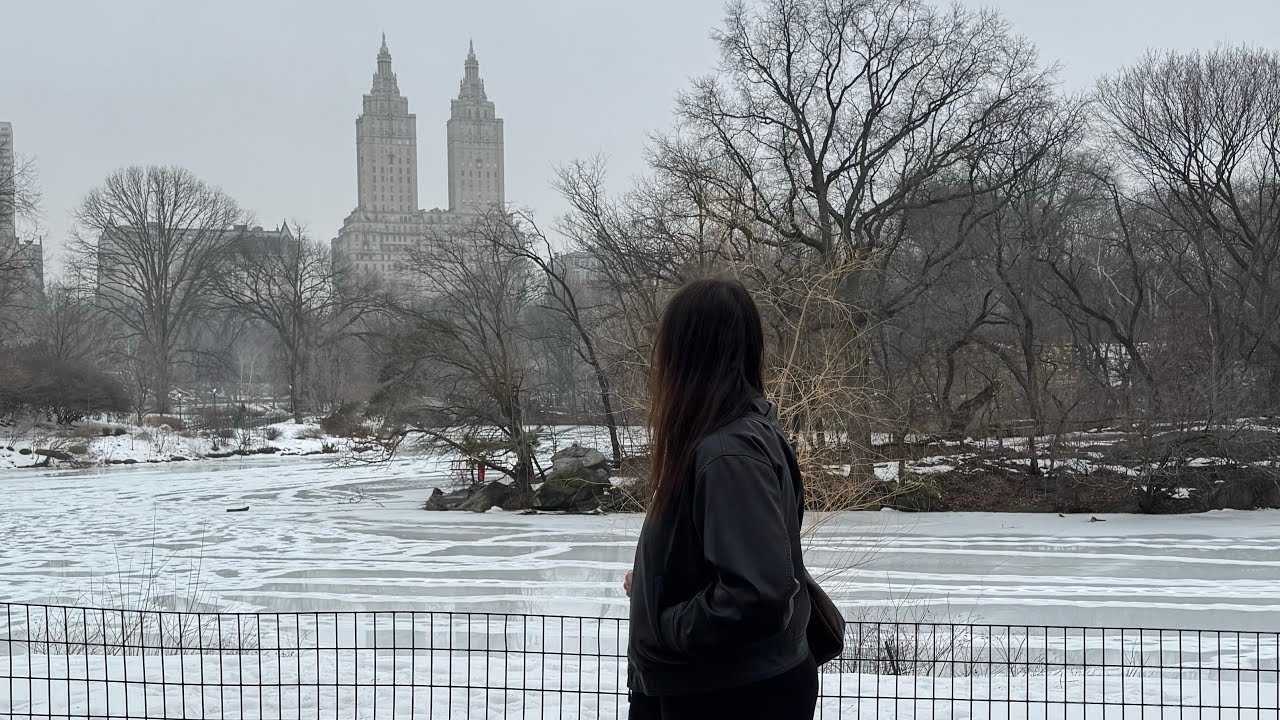 Solo in NEW YORK🗽| lots of food, snowy days & exploring the city! 