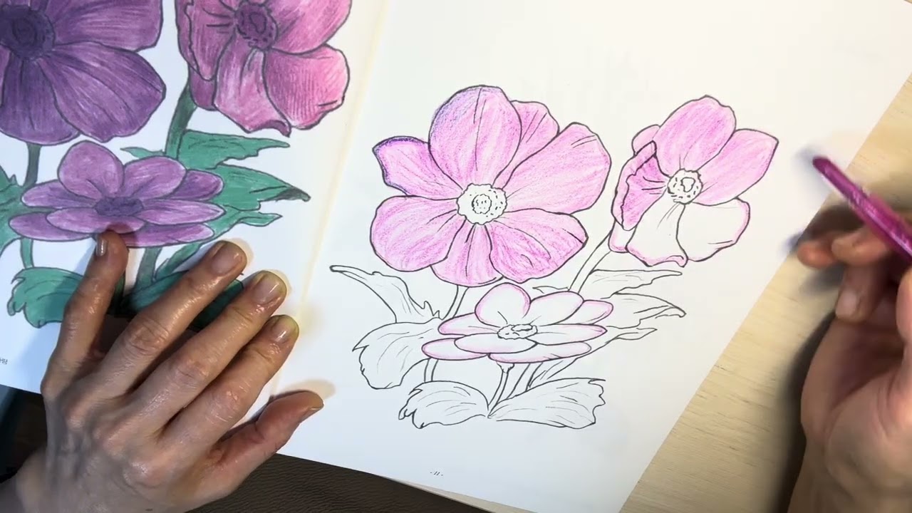색칠, 마음도 정신도 단순해지는 며느리의밤시간....선따라 그리기에 집중력도 필요합니다. 꽃은 