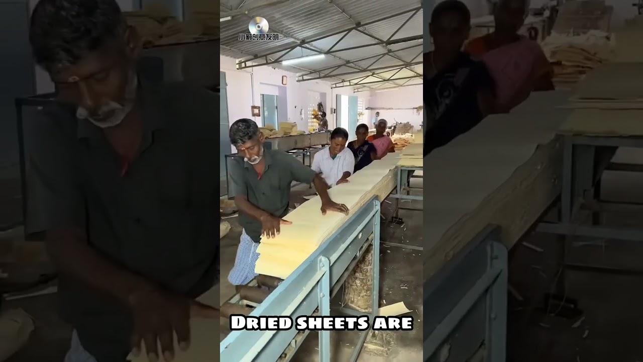 How Indian Matchsticks Are Made 🔥#matchstick #india #manufacturing #handmade #sustainableliving