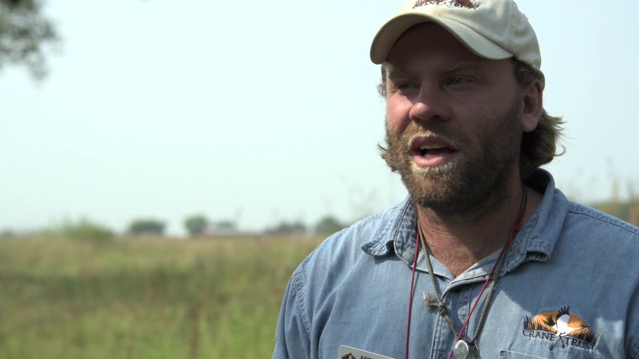 Career: Wildlife Biologist