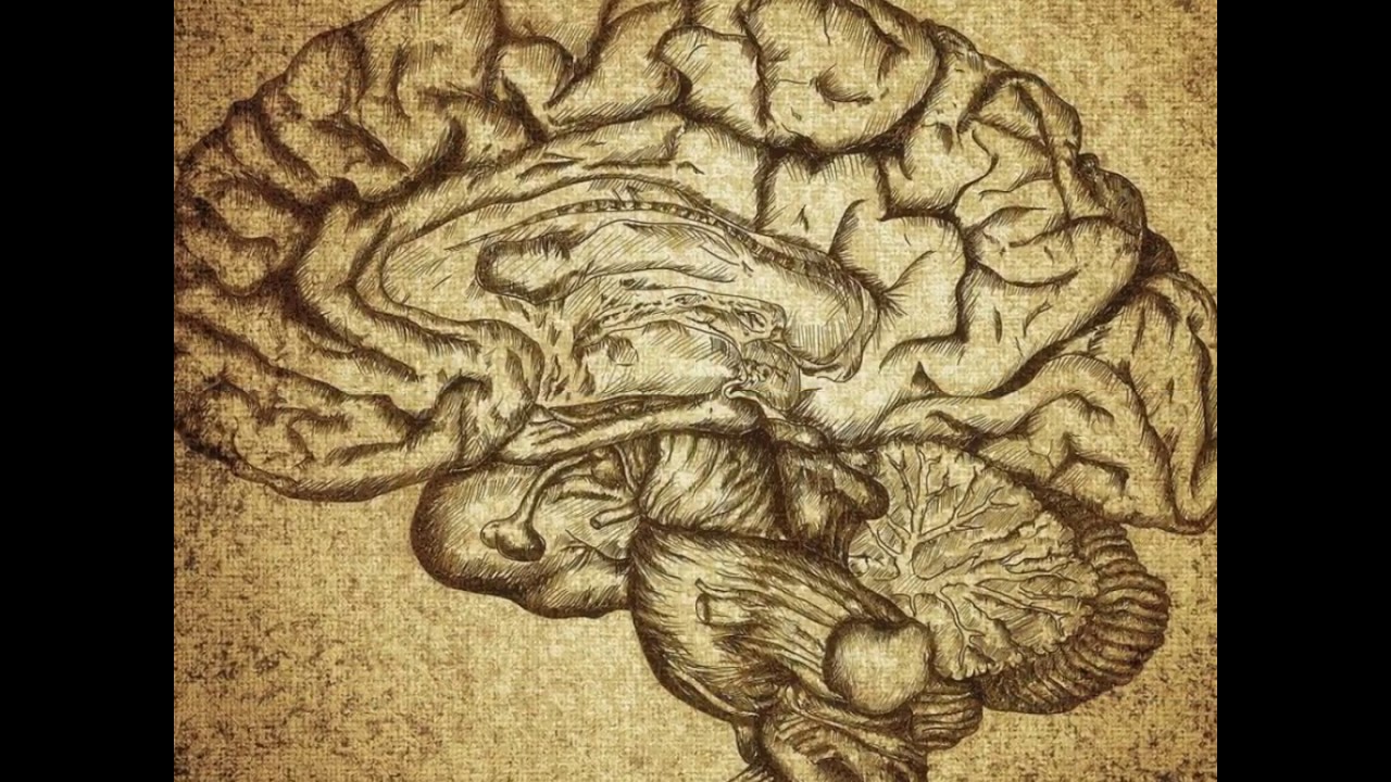 Biodinamica Craniosacrale