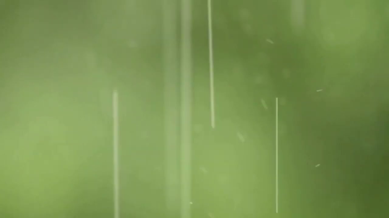 Soothing Summer Rainstorm Ambience - Enjoy the Passing of a Storm