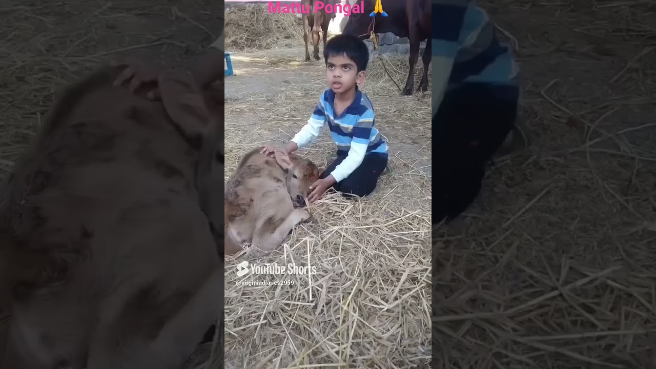 #viral