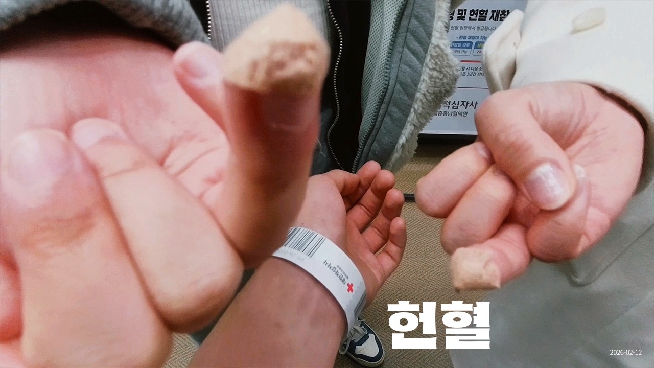 헌혈
