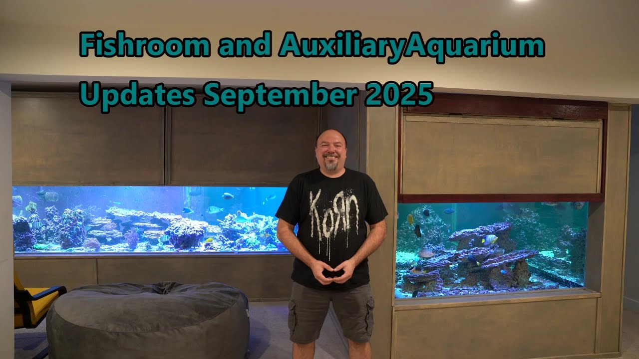 Fishroom and Auxiliary Aquarium Updates September 2025