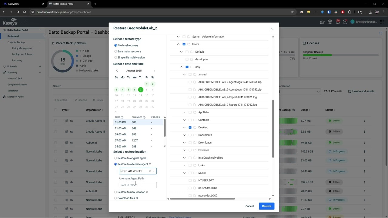 Endpoint Backup Vignette