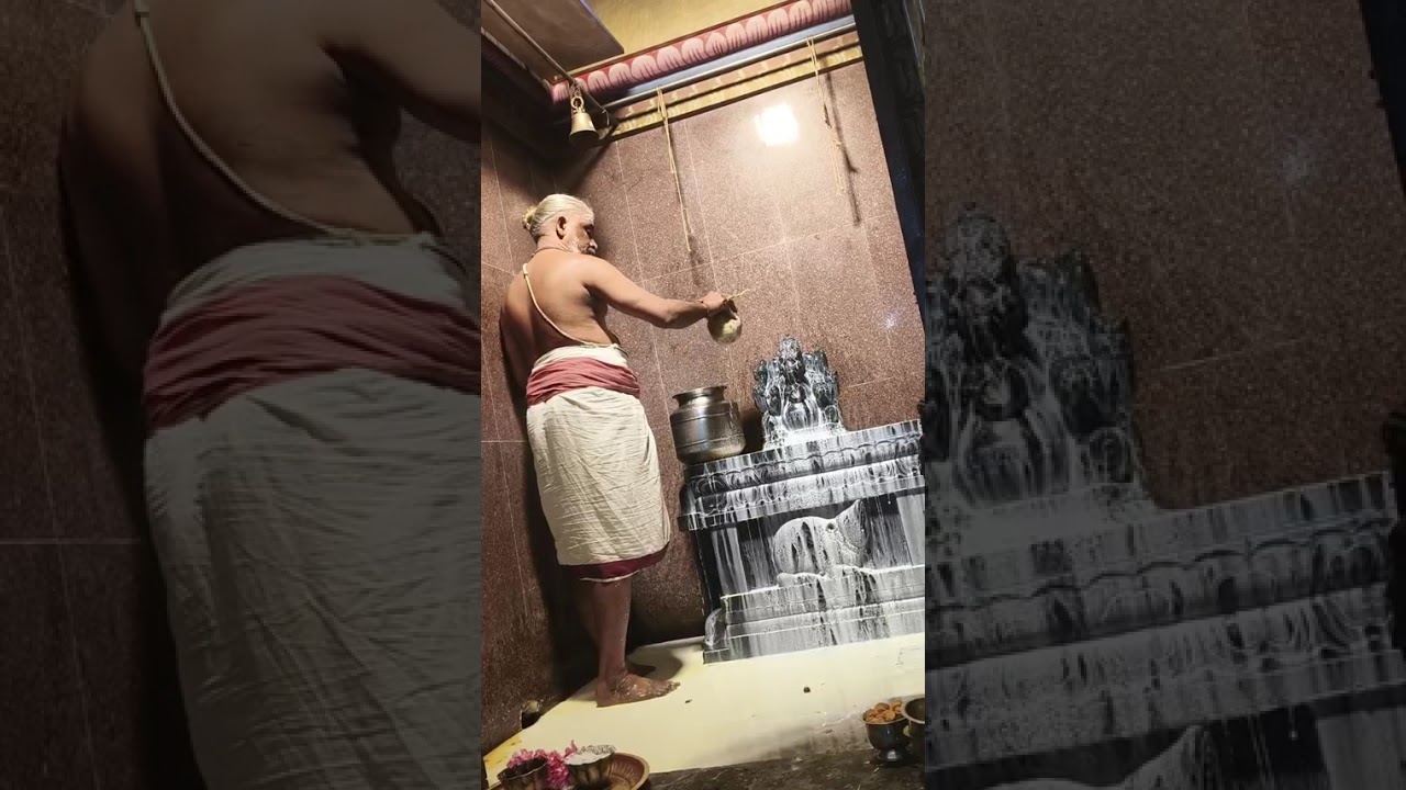 05/02/2026 இன்று மாலை சங்கடஹர சதுர்த்தியை முன்னிட்டு விநாயகருக்கு மகா அபிஷேகம் நடைபெற்றது.