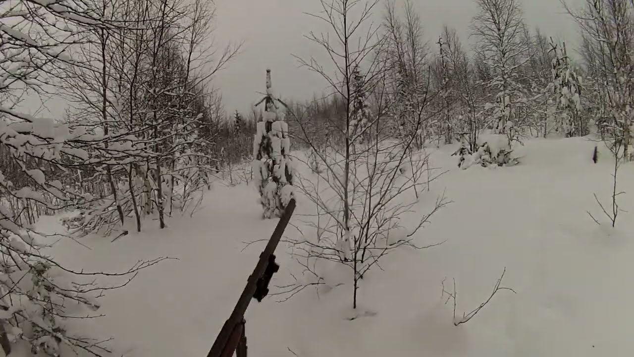Jänis juoksee samoja jälkiä 14 12 25