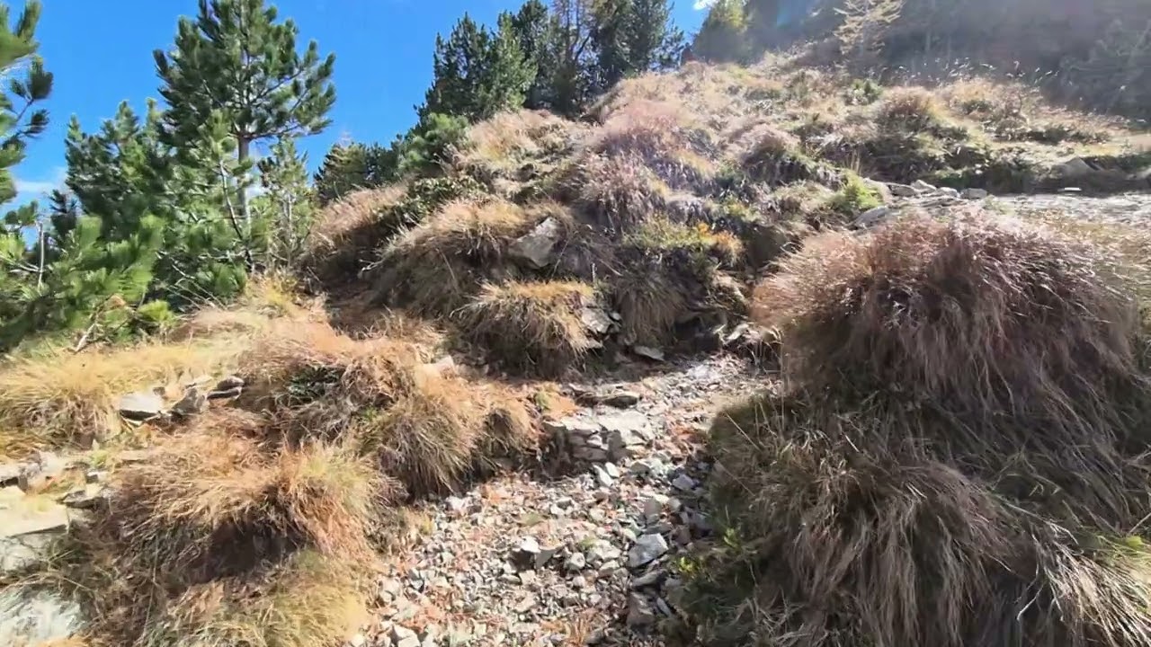 Rundwanderung Turracher Höhe - Schoberriegel - Gruft