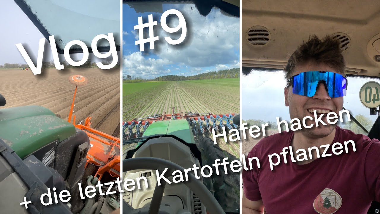 Wir fahren das erste mal in den Hafer! / Vlog #9