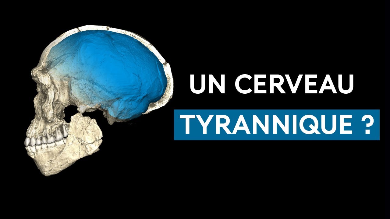 La tyrannie du cerveau : un nouveau regard sur l'évolution humaine