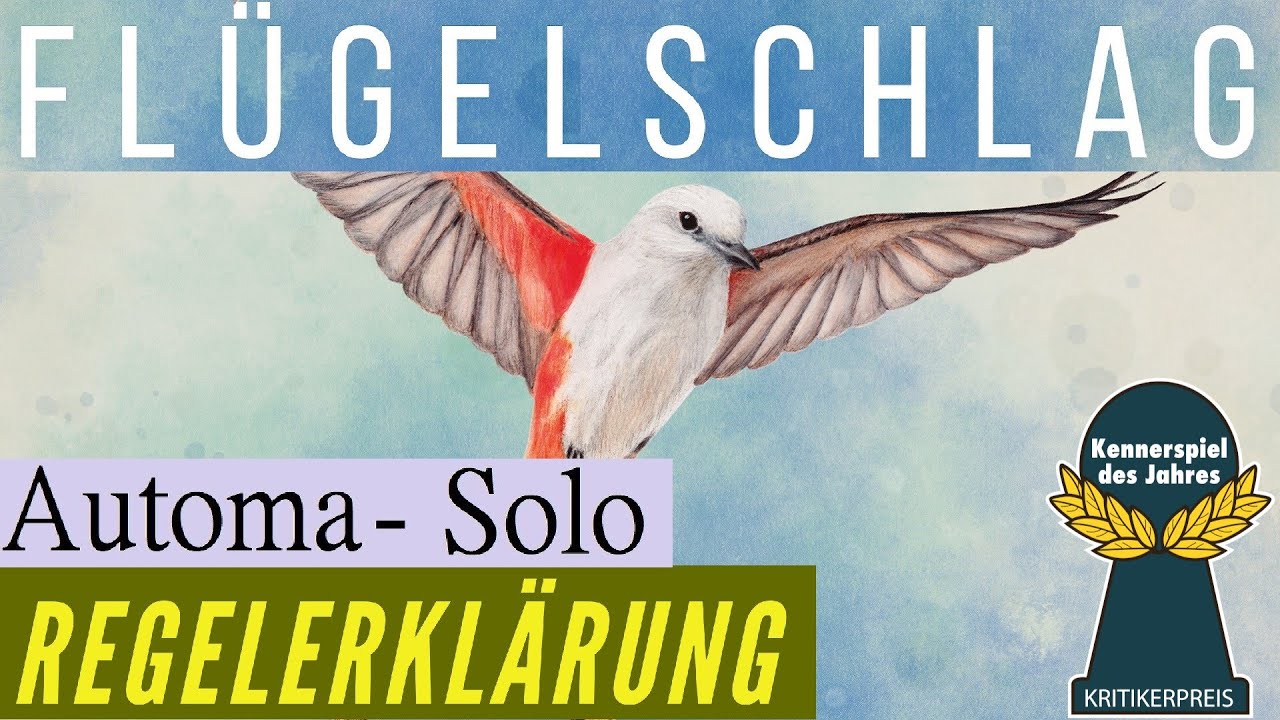 Flügelschlag Solo Automa Regeln Anleitung Erklärung Regelvideo Erklärung