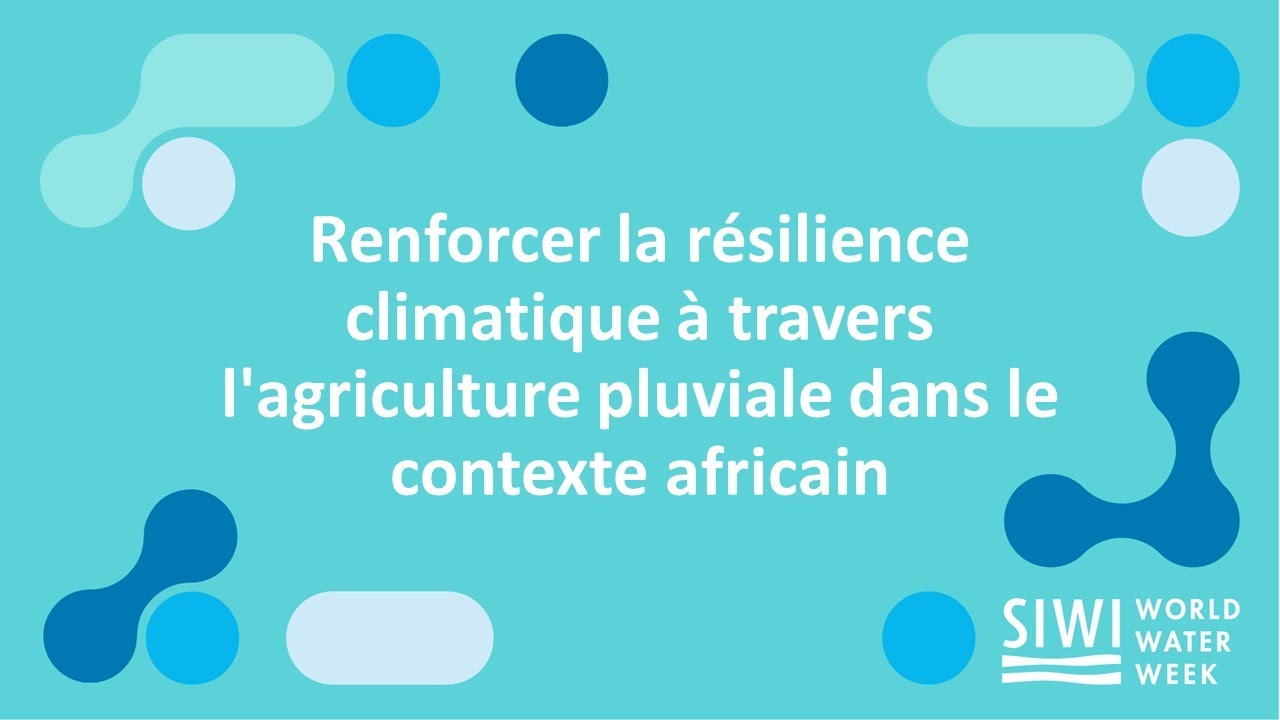 Renforcer la résilience climatique à travers l'agriculture pluviale dans le contexte africain