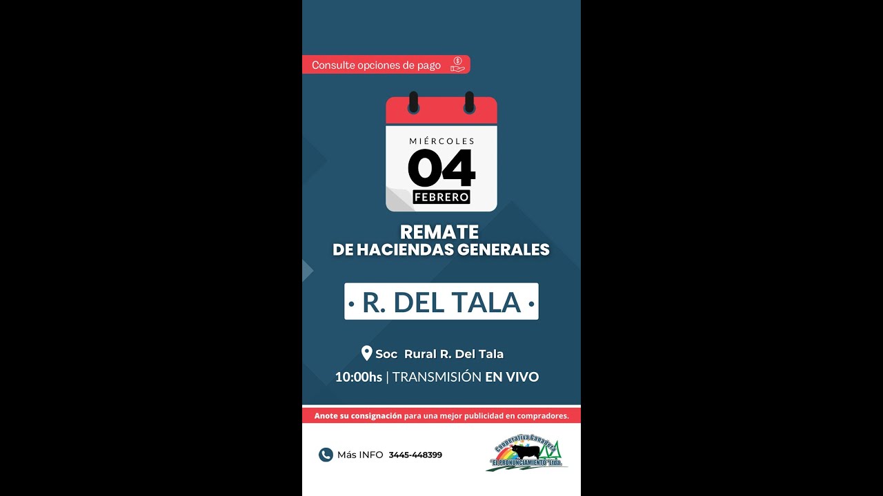 Remate de hacienda Rosario Del Tala 04-02-2026 | Coop. Ganadera El Pronunciamiento