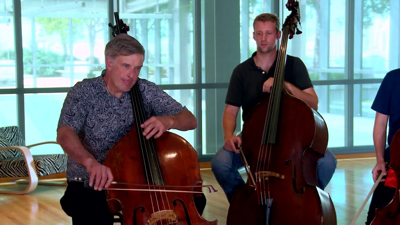 From NWS MUSAIC: bass excerpt from Mozart No. 40, I