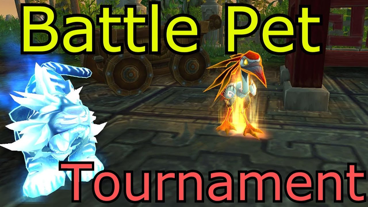 The Pet Battle Tournament WoW MoP How To Guide Patch 5.4