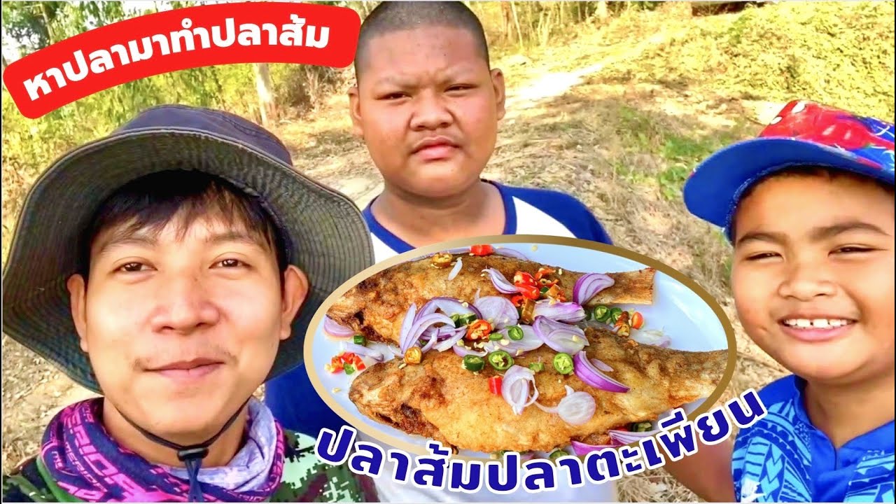 วิธีทำ ปลาส้ม (ปลาตะเพียน) ทำไม่ยาก แต่อร่อมากจริงๆครับ อยากให้ลองทำกันบ้าง | สไตล์นายแทน