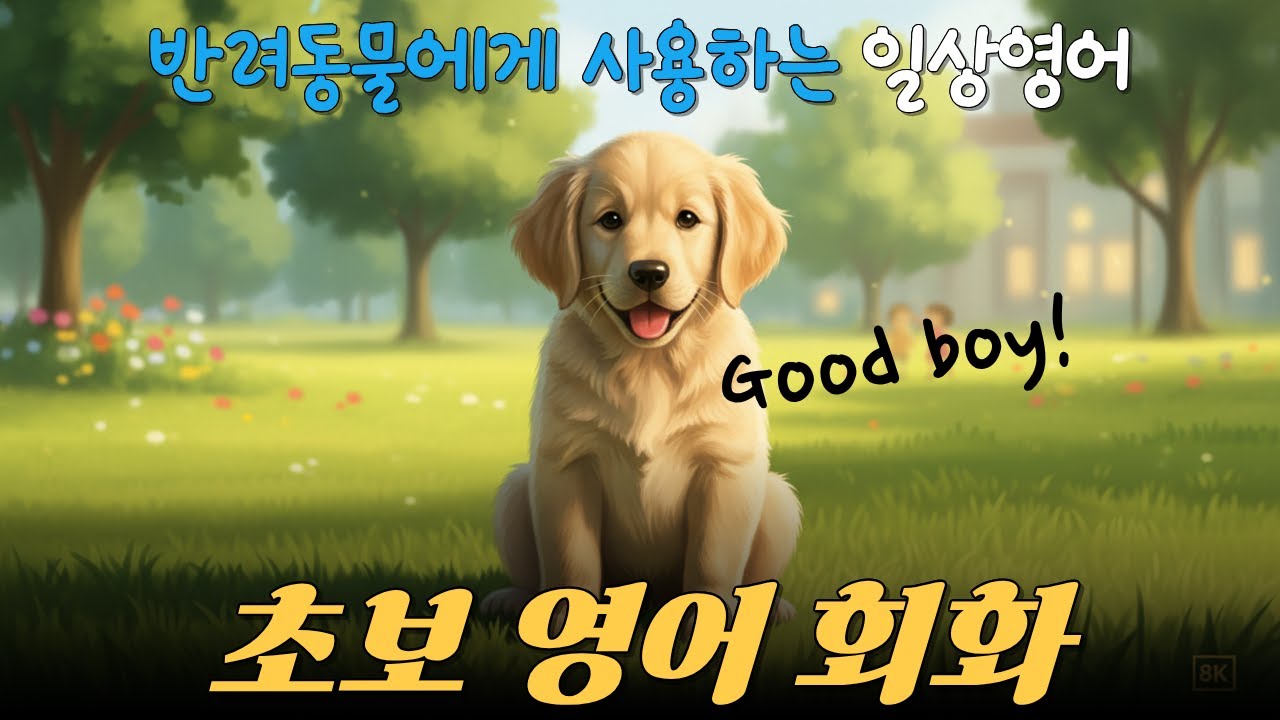 초보영어  강아지에게 매일 쓰는  일상영어 50문장 #dog#초보영어#영어회화#일상영어#쉬운영어#dailyenglish