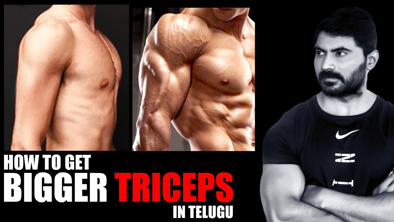 How to get Bigger Triceps {5 best exercises for triceps in Telugu}