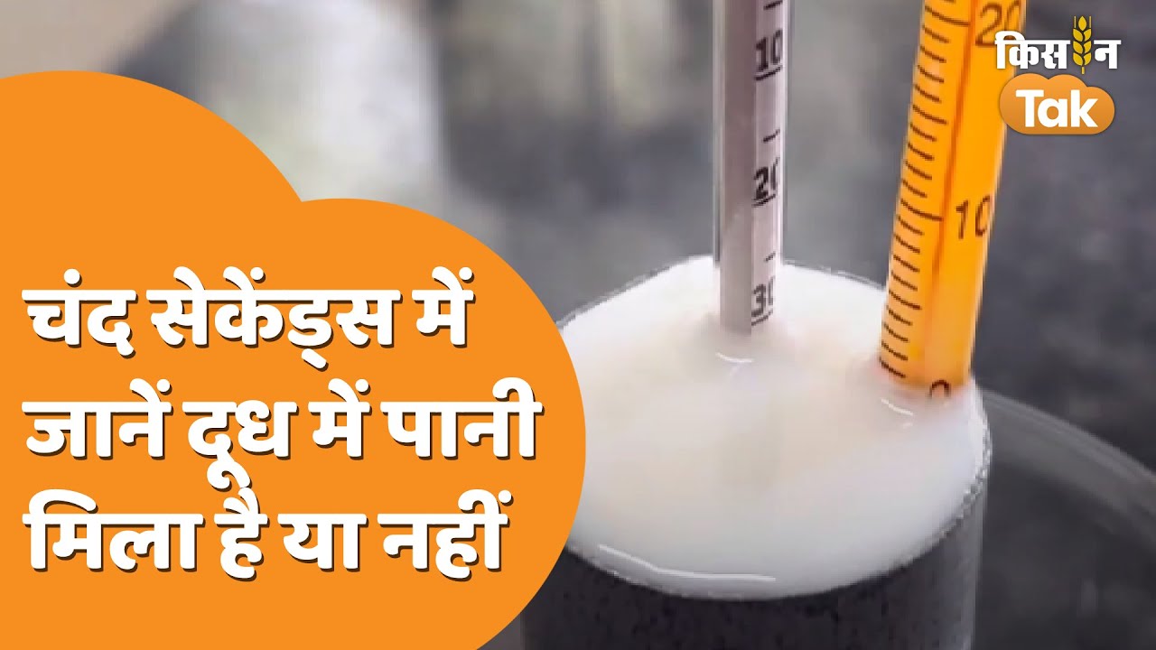 दूध में पानी मिला है या नहीं, इस तरीके से घर पर करें जांच | Kisan Tak