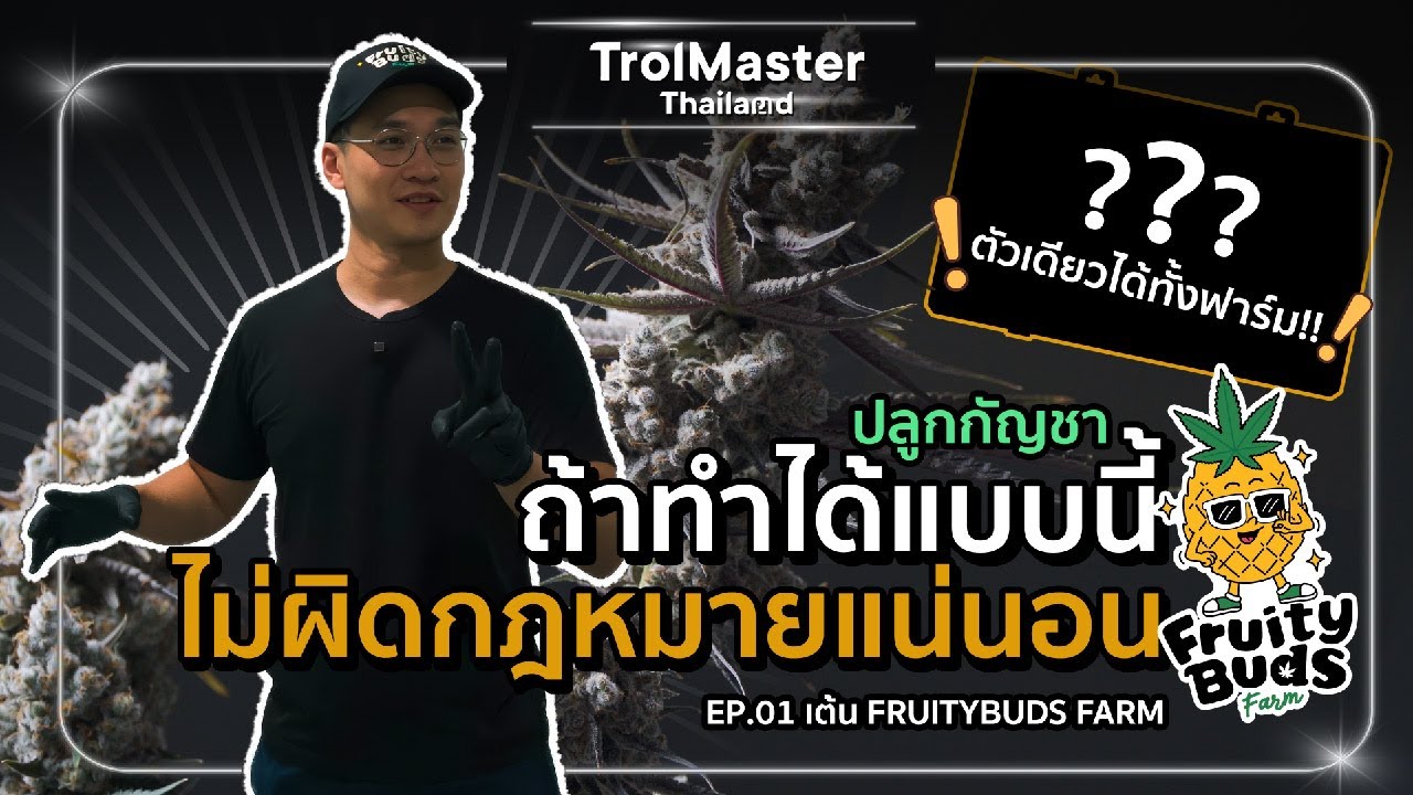 Ep.1 เต้น FruityBuds Farm : แรงบันดาลใจและมุมมองทำฟาร์มกัญชาถูกกฎหมาย