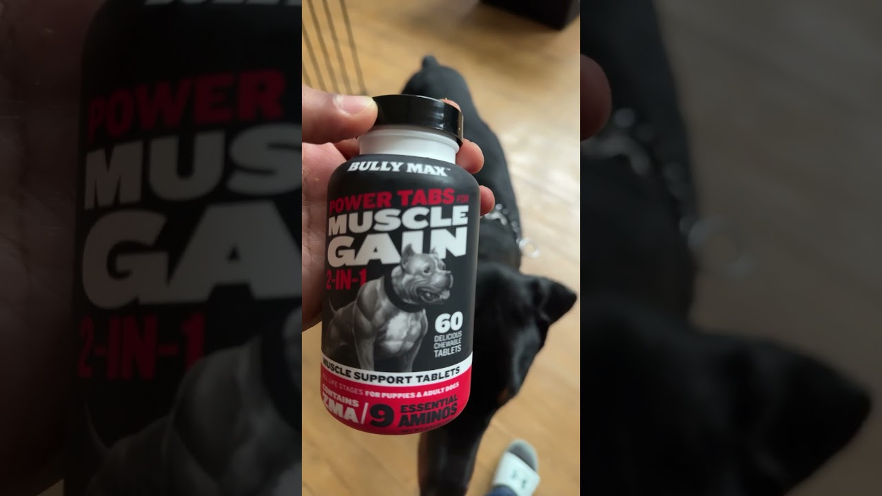 Trying Bully Max on my Doberman for muscle gain 
