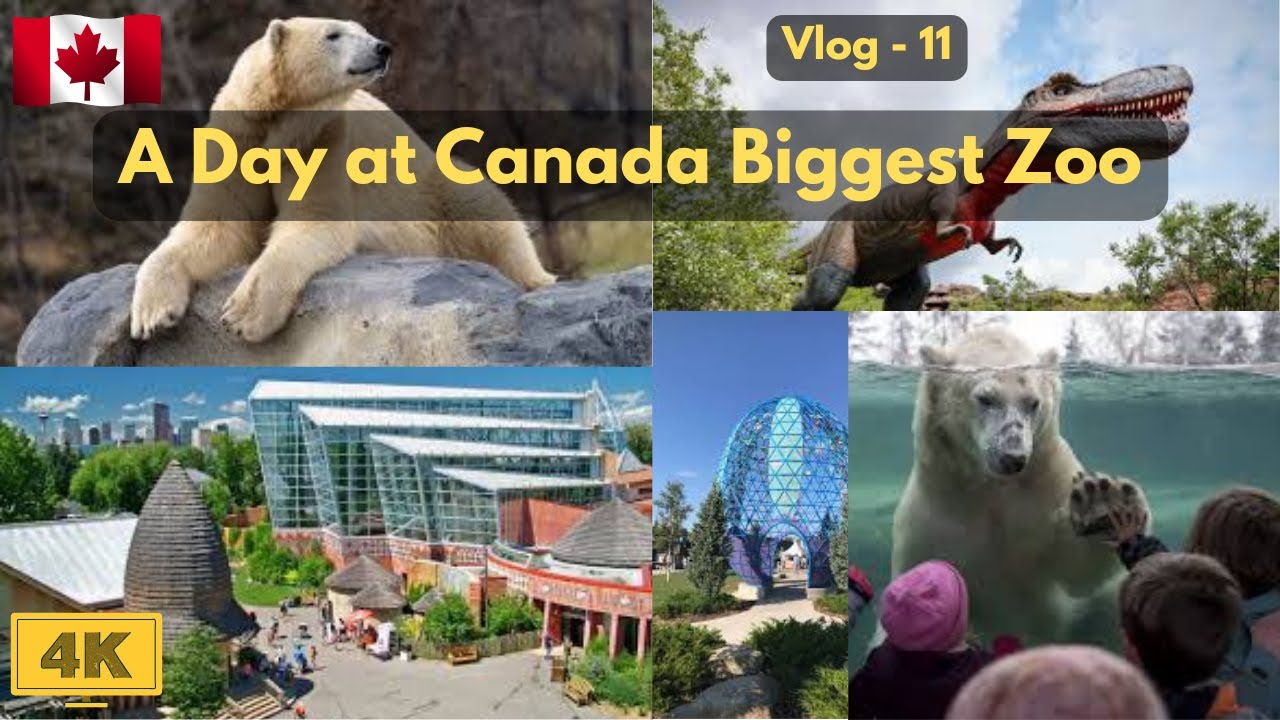 Discover the Wonders of Calgary Zoo: A Journey Through Wildlife!