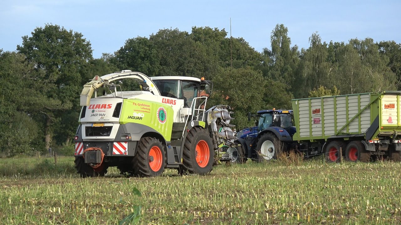 Mais hakselen en inkuilen door loonbedrijf Grefelman (2025)