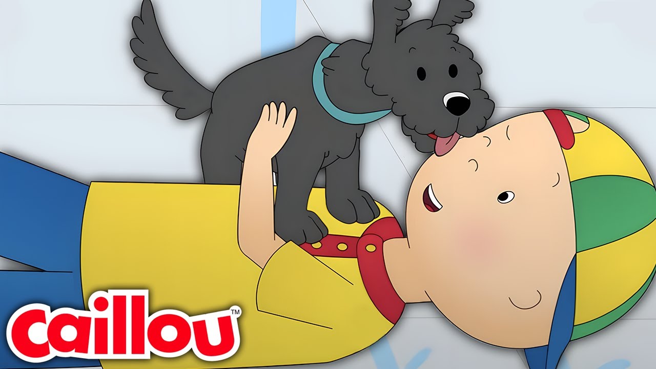 Caillou y Pepper | Las Nuevas Aventuras de Caillou | Temporada 3: Episodio 26