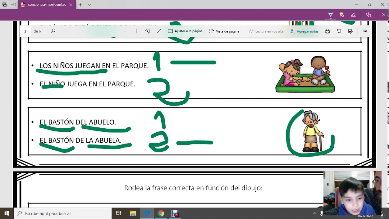 Conciencia morfosintactica