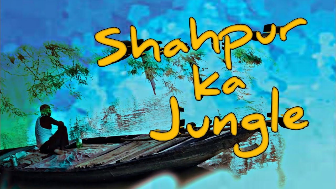 Shahpur ka Jungle | Sultanpur | Vlog 6