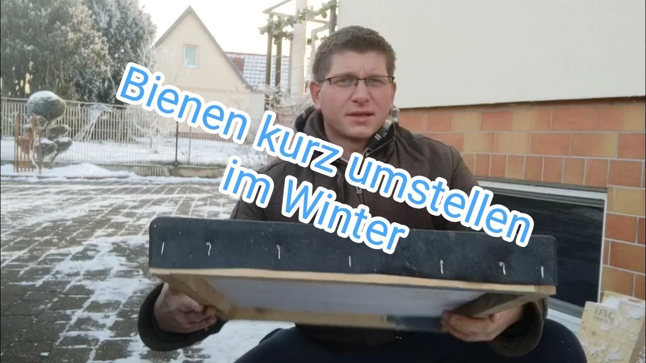 Winterarbeit des Imkers - Bienen im Winter kurz umstellen  #bienen #diy #imker #imkerei #imkern