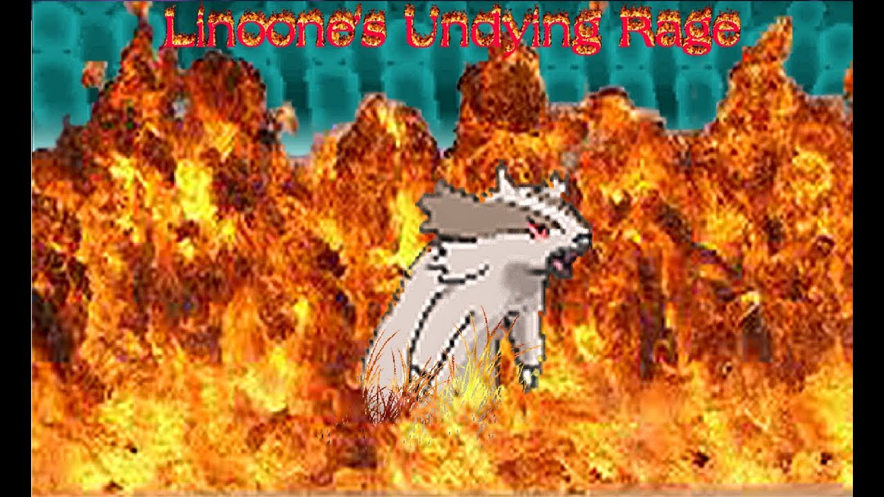 Linoone - Sensei of Talonflame