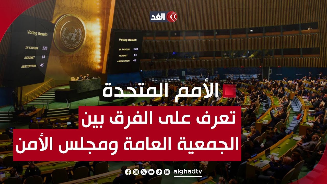 تعرف على الفرق بين الجمعية العامة ومجلس الأمن.. وما هي الجلسات الاستثنائية؟