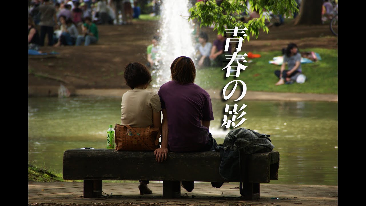 青春の影/チューリップ