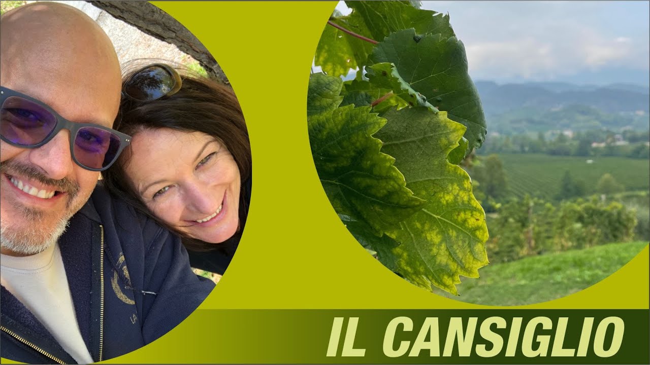 Visitiamo il Pian del Cansiglio!!!🌞🌞🌞🌞