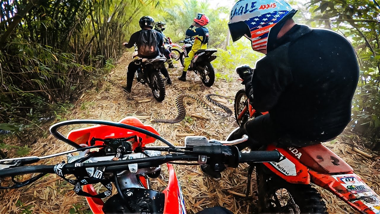 UMA COBRA NO MEIO DA TRILHA DE CRF 250 0KM