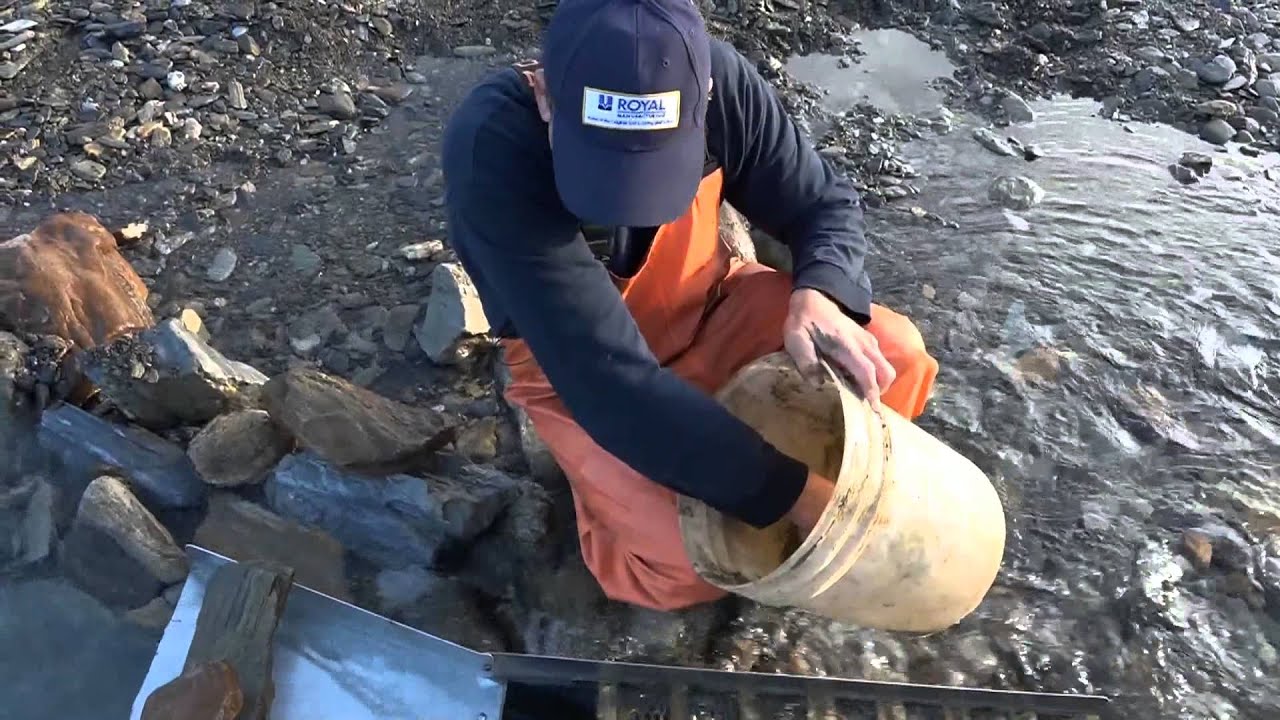 Royal Manufacturing Sluice Box in Action