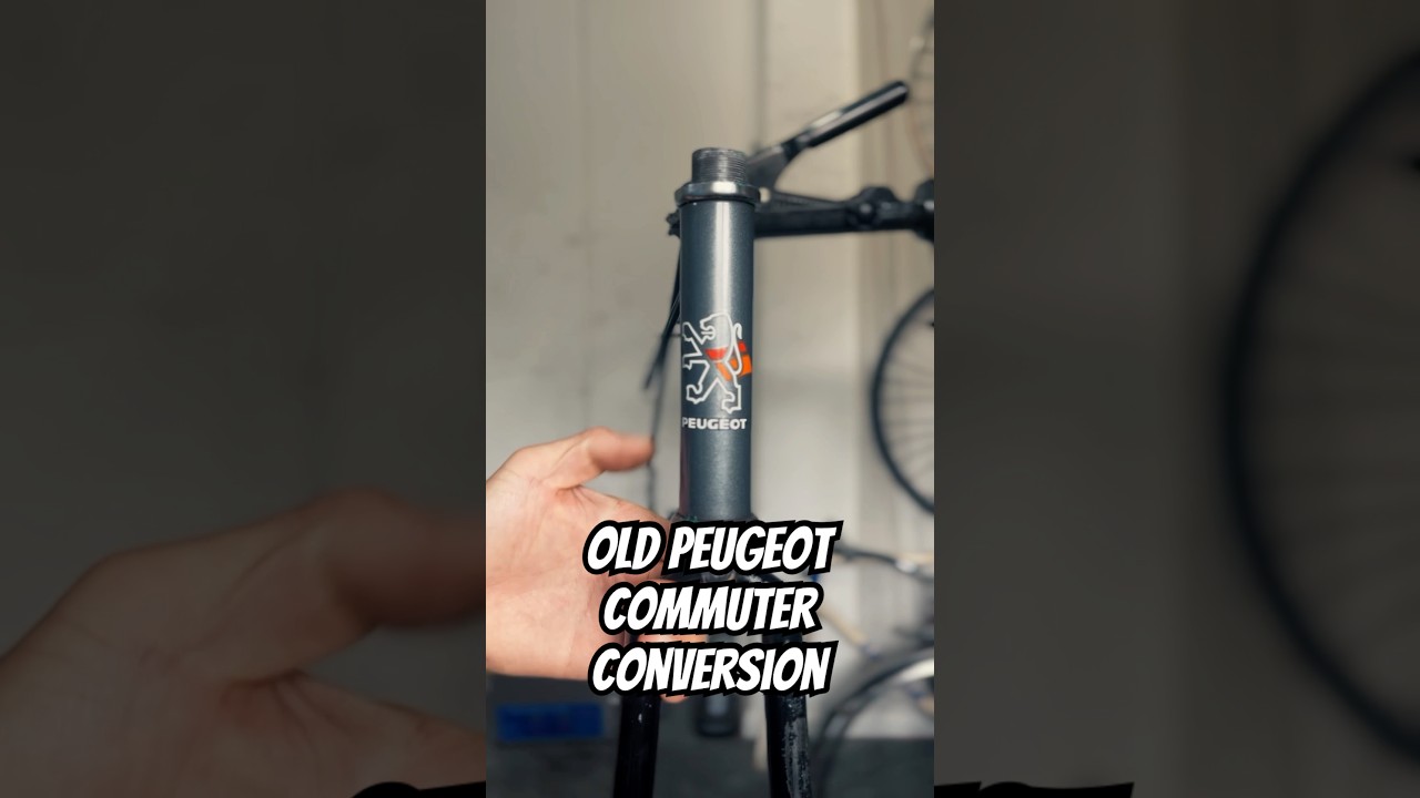 Old Peugeot gets a new life!