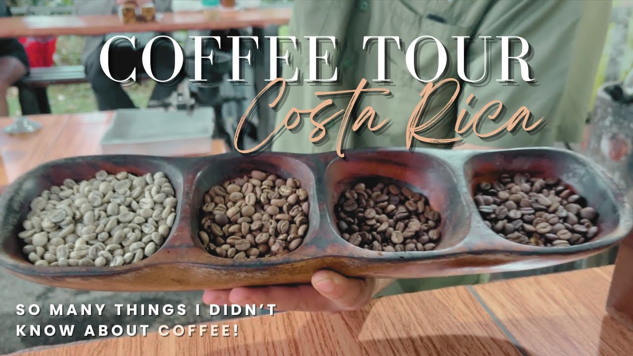 Costa Rica's Coffee EXPLAINED - This Changed How I Drink Coffee!