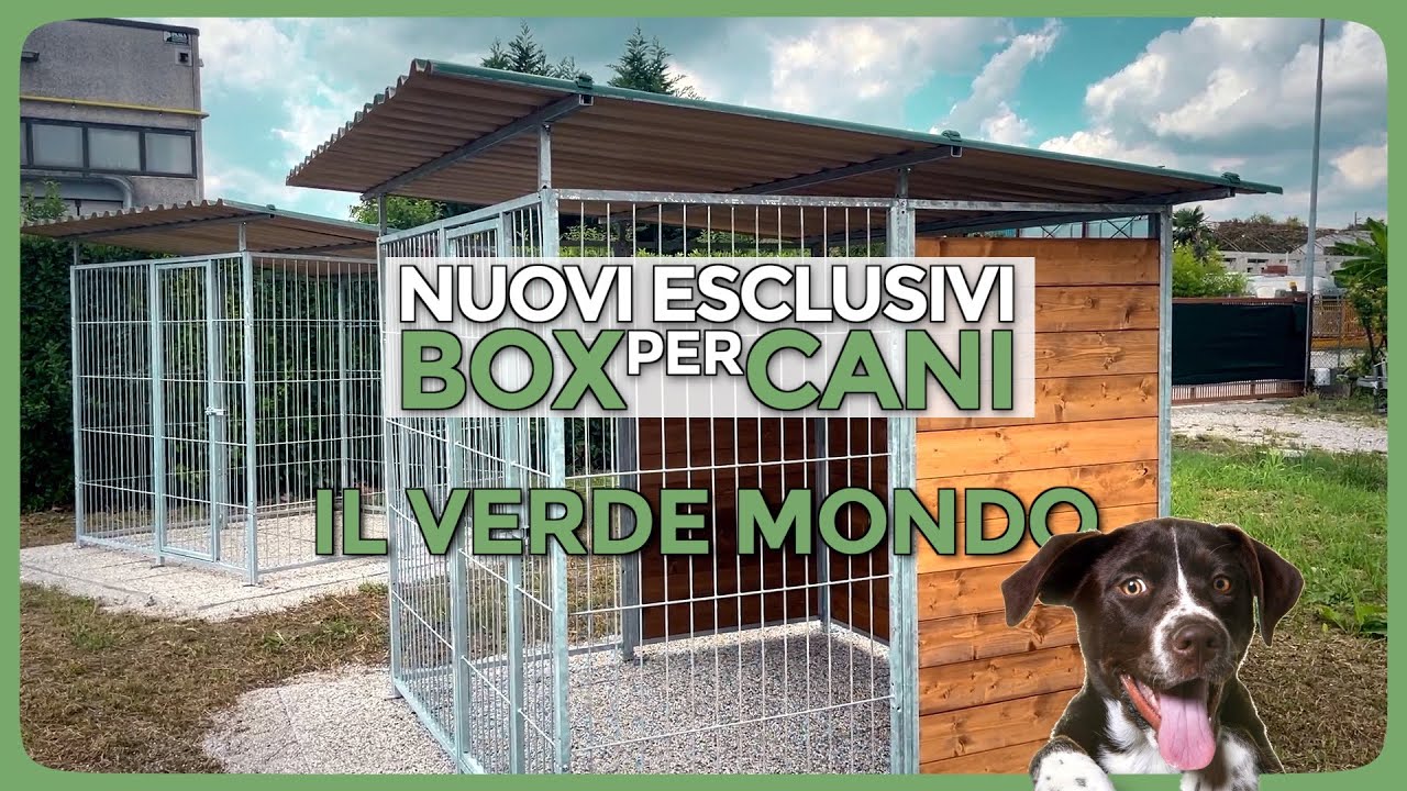 Nuovi Box per Cani - Il VerdeMondo