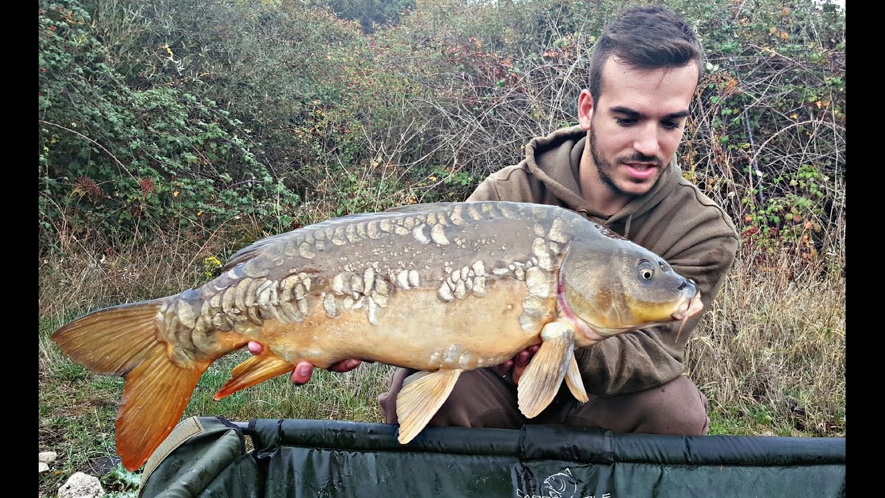 Carpfishing///Mcarp-Lluvia y Royales