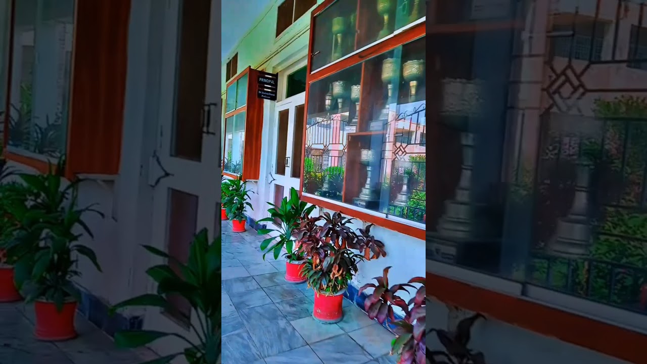 College of Home Economics university of Peshawar#ytshorts #youtubeshorts #universityofpeshawar