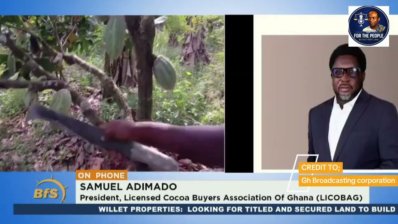 Долговой кризис в секторе какао? Реакция компаний, занимающихся транспортировкой какао, на пробле...