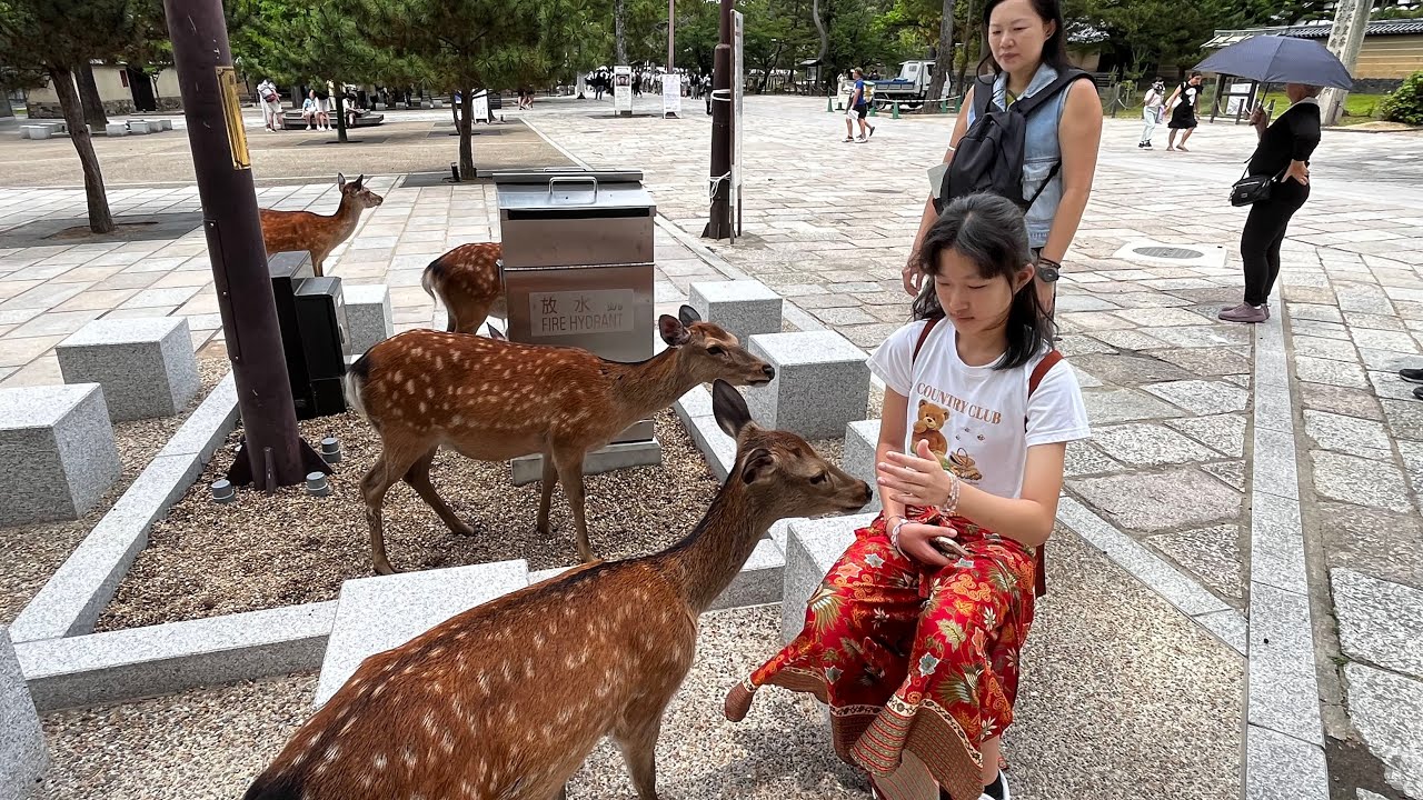 Japan Osaka Family trip By Felicia Chia #osaka #osakacity #follow #travelvlog #familytravelvlogs #fy