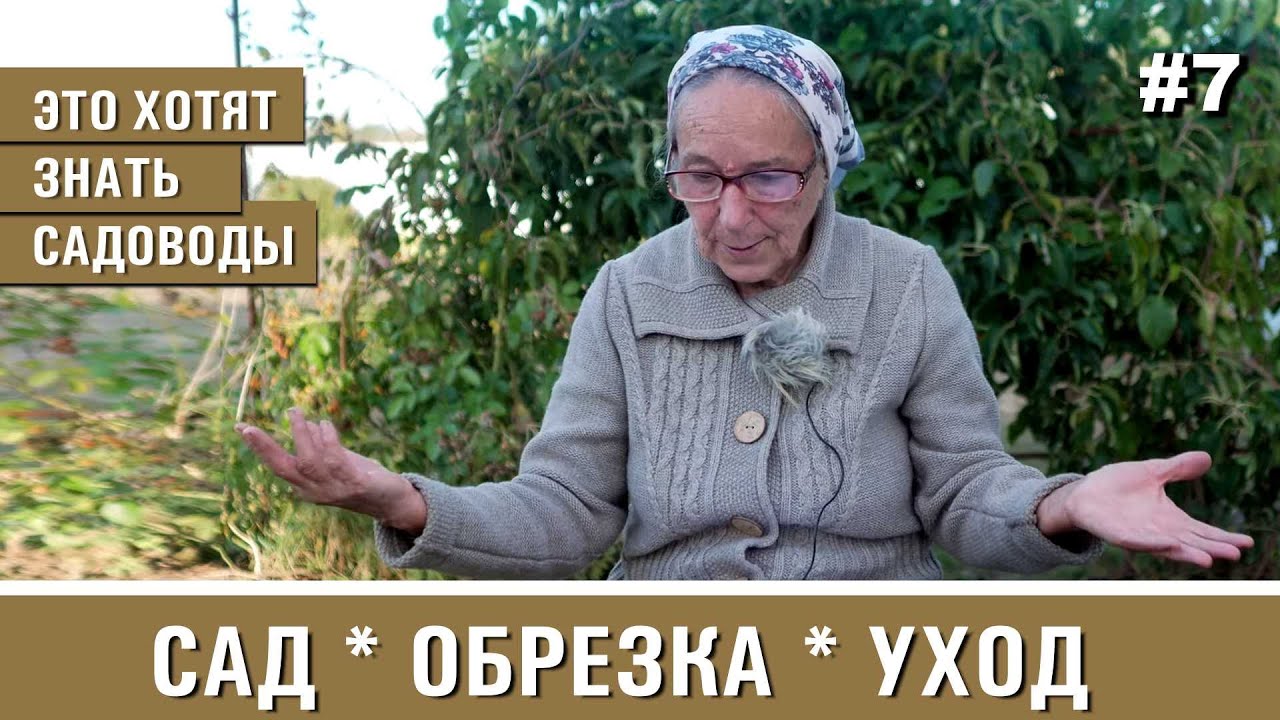 Что садоводы хотят знать по уходу за садом. Тонкости обрезки и формировки плодовых деревьев.