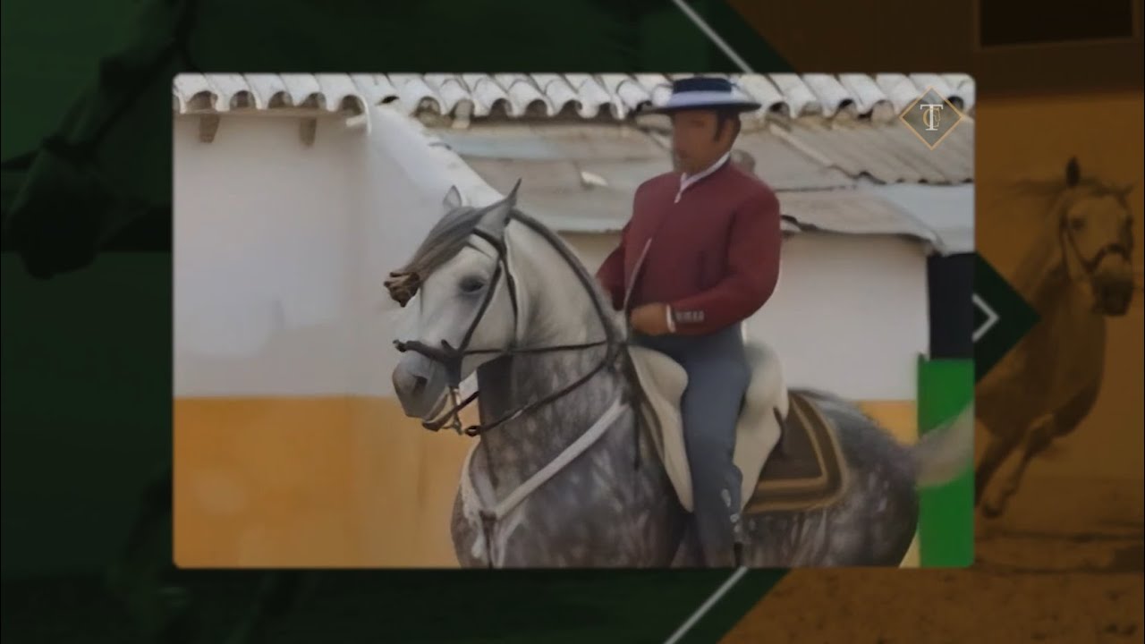 Homenaje a Luis Calderón, uno de los grandes maestros de la Alta Escuela