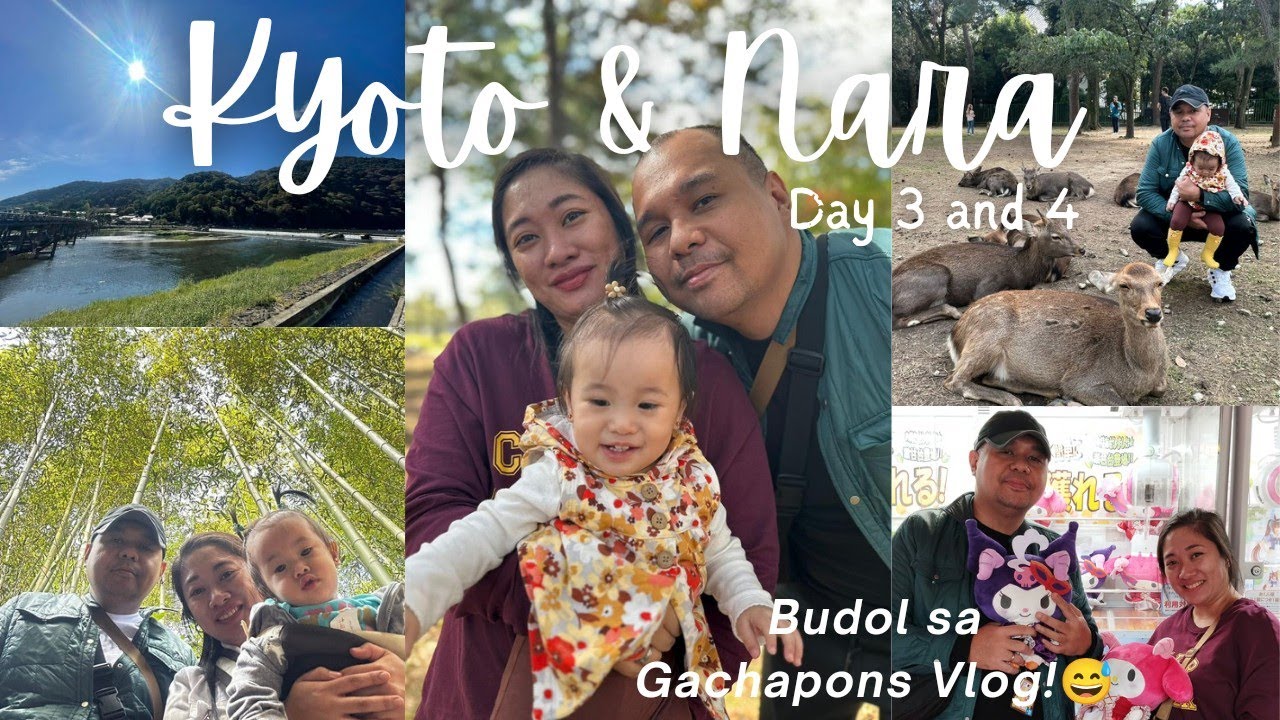 JAPAN VLOG! Day 3-4| Bamboo Forest | Shopping @ Don Quijote | Nara | Den Den Town | Gashapon Madness