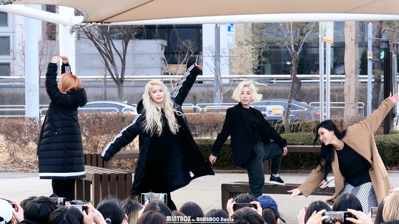 [4K] 180310 음악중심 미니팬미팅  마마무 직캠 (Mamamoo Fancam)